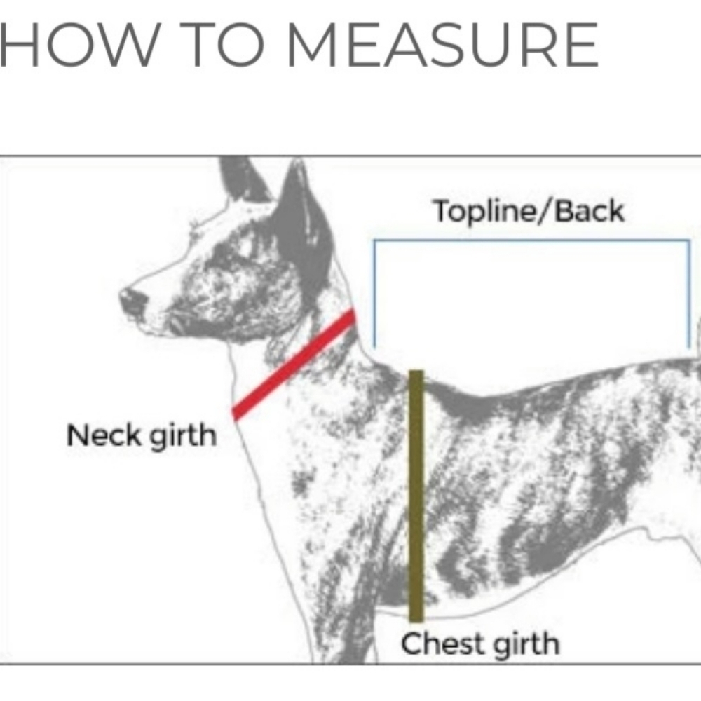 DOG HALLOWEEN CANDY 🍬 COSTUME WITH HOODIE 🐶 - Picture 7 of 11